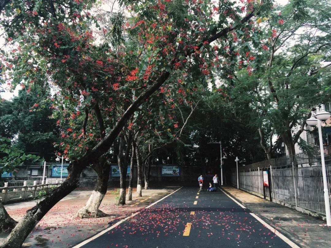 437必赢会员中心
