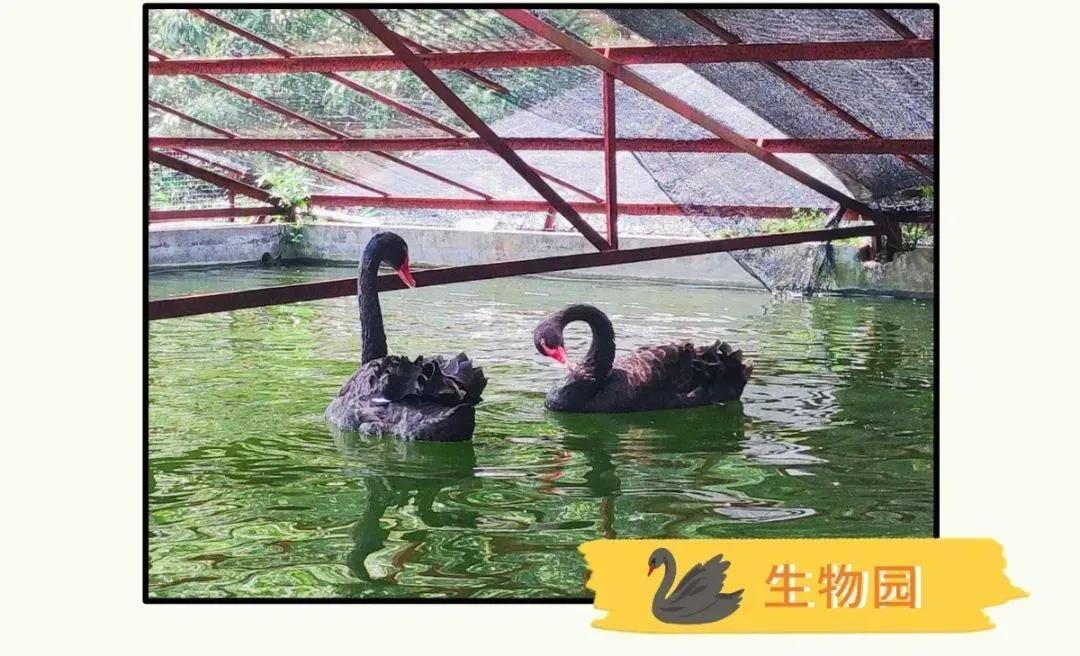 437必赢会员中心