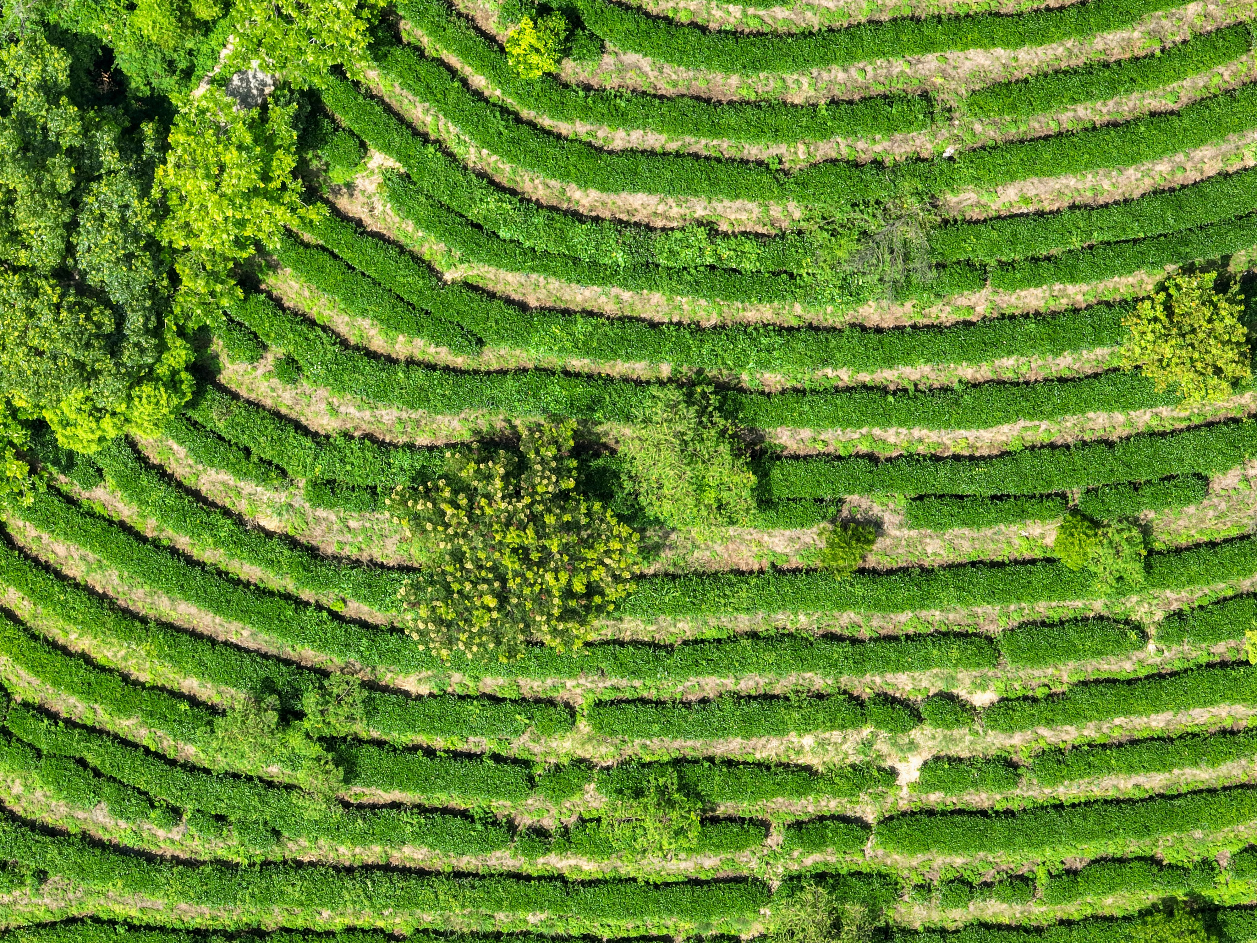 437必赢会员中心