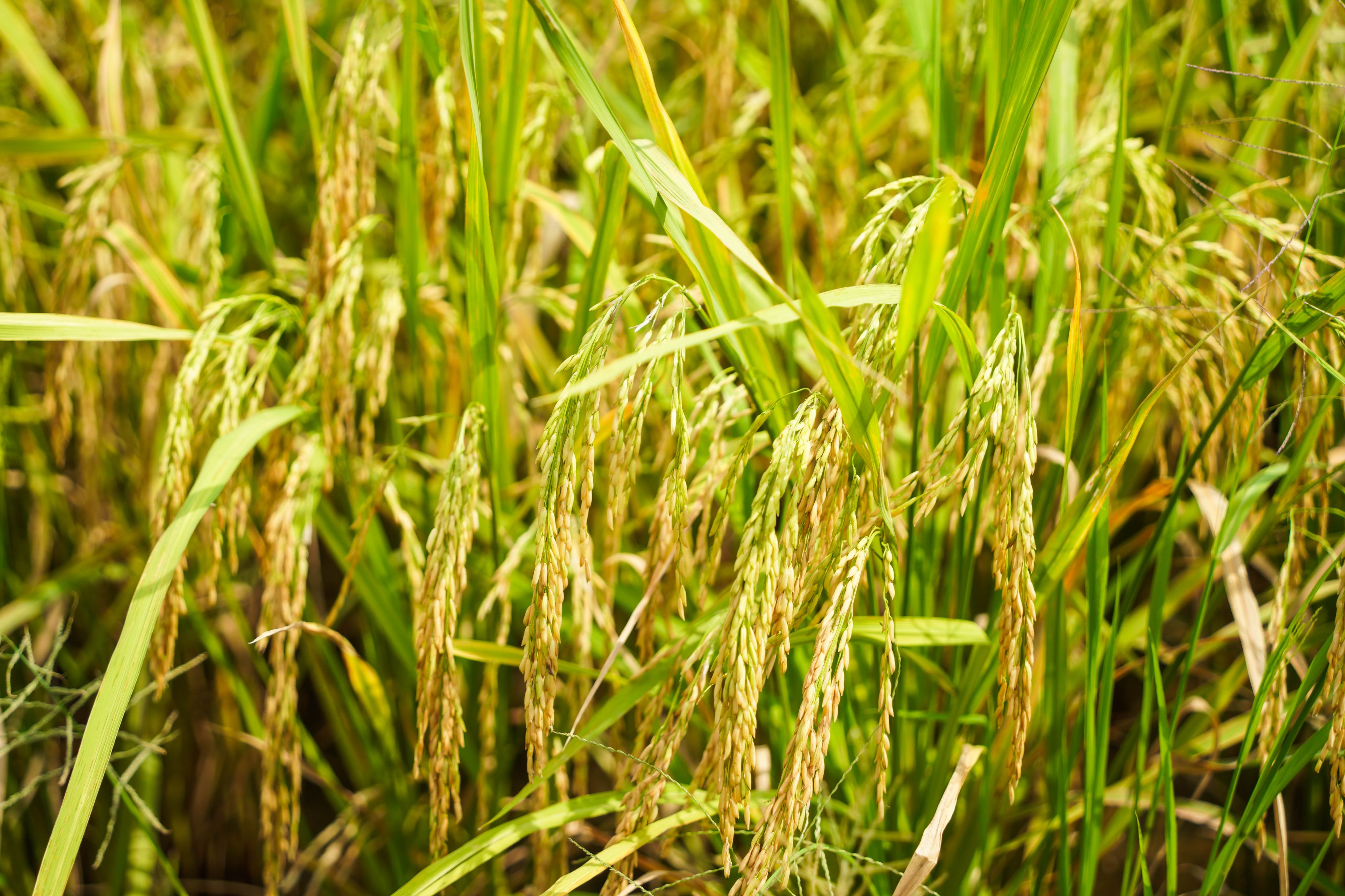 437必赢会员中心